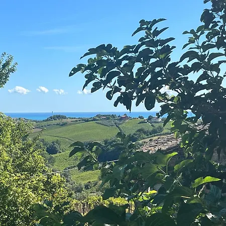 VALLELY la collina sul mare B&B d'Abruzzo-3